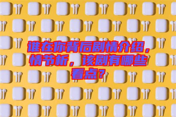 誰在你背后劇情介紹，情節(jié)析，該劇有哪些看點？