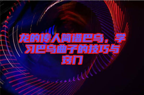 龍的傳人簡譜巴烏，學(xué)習(xí)巴烏曲子的技巧與竅門