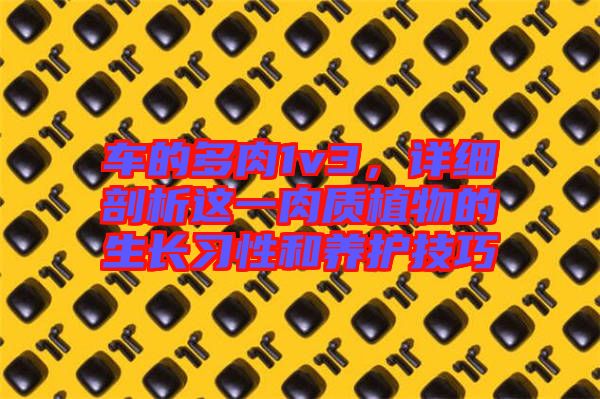 車的多肉1v3，詳細剖析這一肉質(zhì)植物的生長習性和養(yǎng)護技巧