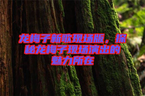 龍梅子新歌現(xiàn)場版，探秘龍梅子現(xiàn)場演出的魅力所在