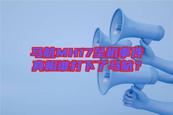 馬航MH17墜機(jī)事件真相誰打下了馬航？