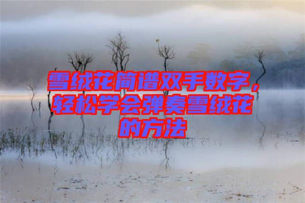 雪絨花簡譜雙手?jǐn)?shù)字，輕松學(xué)會彈奏雪絨花的方法