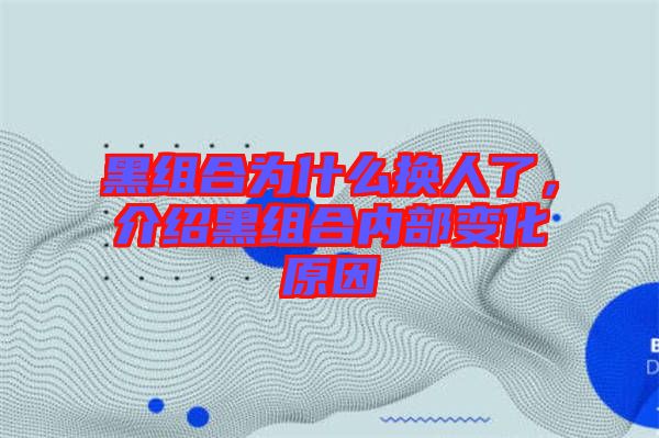 黑組合為什么換人了，介紹黑組合內(nèi)部變化原因