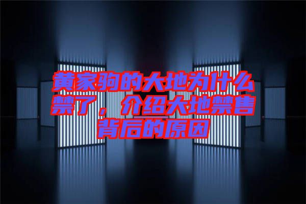 黃家駒的大地為什么禁了，介紹大地禁售背后的原因