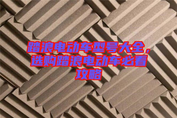 踏浪電動(dòng)車型號(hào)大全，選購(gòu)踏浪電動(dòng)車必看攻略