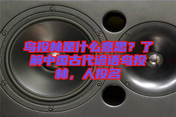 鳥投林是什么意思？了解中國(guó)古代諺語(yǔ)鳥投林，人投名