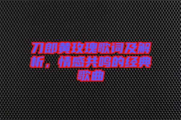 刀郎黃玫瑰歌詞及解析，情感共鳴的經(jīng)典歌曲