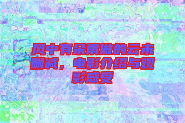 風(fēng)中有朵雨做的云未刪減，電影介紹與觀影感受
