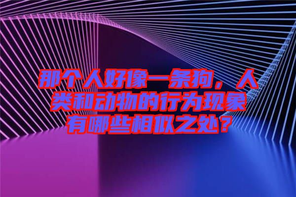 那個人好像一條狗，人類和動物的行為現(xiàn)象有哪些相似之處？