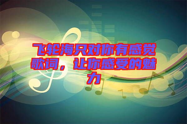 飛輪海只對(duì)你有感覺(jué)歌詞，讓你感受的魅力