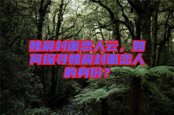 魏晨封面戀人云，如何探尋魏晨封面戀人的身份？