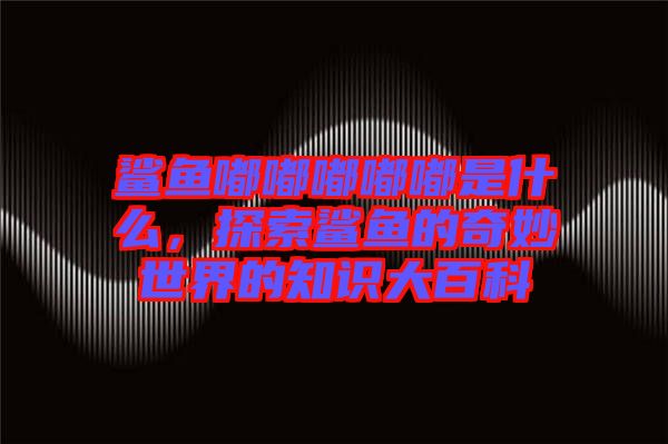 鯊魚嘟嘟嘟嘟嘟是什么，探索鯊魚的奇妙世界的知識大百科