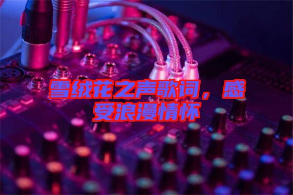 雪絨花之聲歌詞，感受浪漫情懷