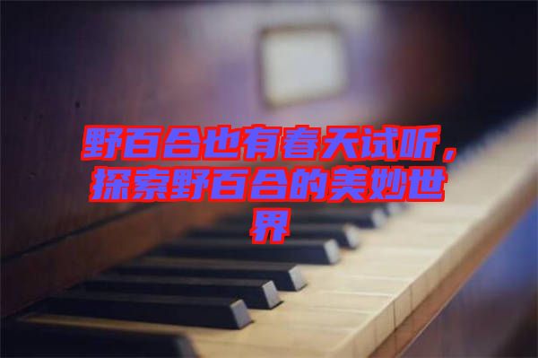 野百合也有春天試聽(tīng)，探索野百合的美妙世界
