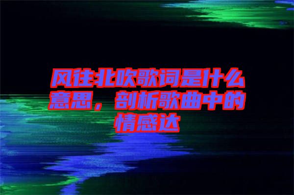 風往北吹歌詞是什么意思，剖析歌曲中的情感達