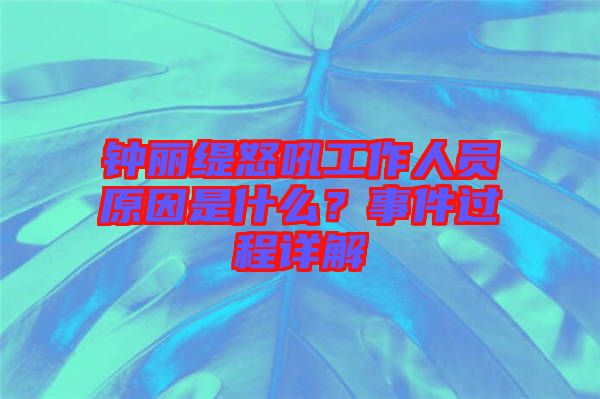 鐘麗緹怒吼工作人員原因是什么？事件過程詳解