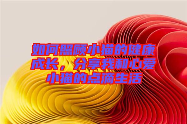 如何照顧小貓的健康成長，分享我和心愛小貓的點滴生活
