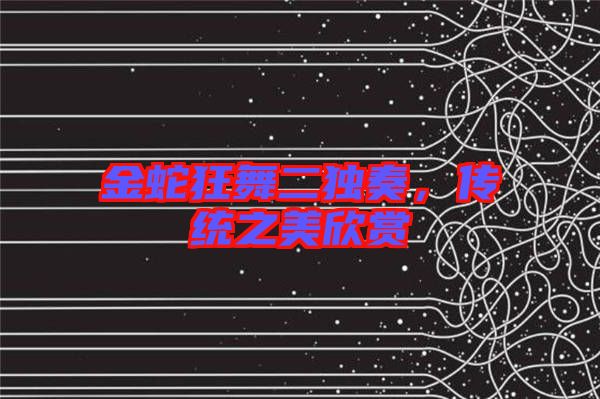 金蛇狂舞二獨(dú)奏，傳統(tǒng)之美欣賞