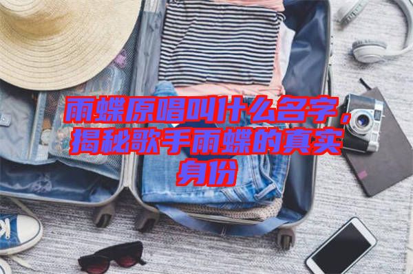 雨蝶原唱叫什么名字，揭秘歌手雨蝶的真實(shí)身份