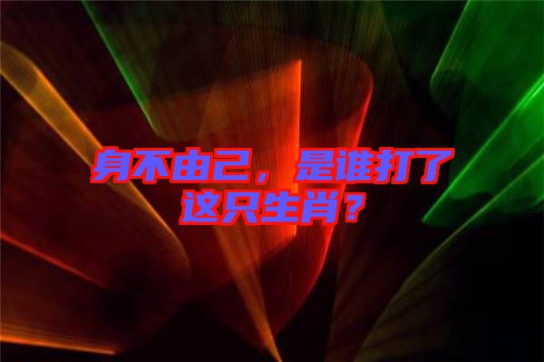 身不由己，是誰打了這只生肖？