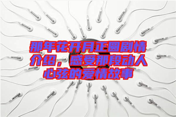 那年花開月正圓劇情介紹，感受那段動人心弦的愛情故事