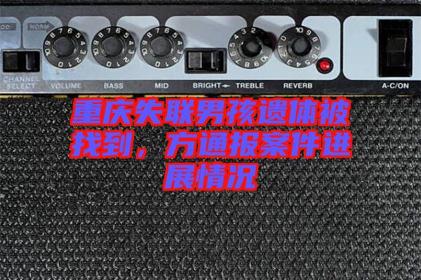 重慶失聯(lián)男孩遺體被找到，方通報案件進展情況