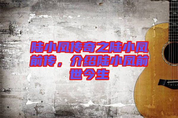 陸小鳳傳奇之陸小鳳前傳，介紹陸小鳳前世今生