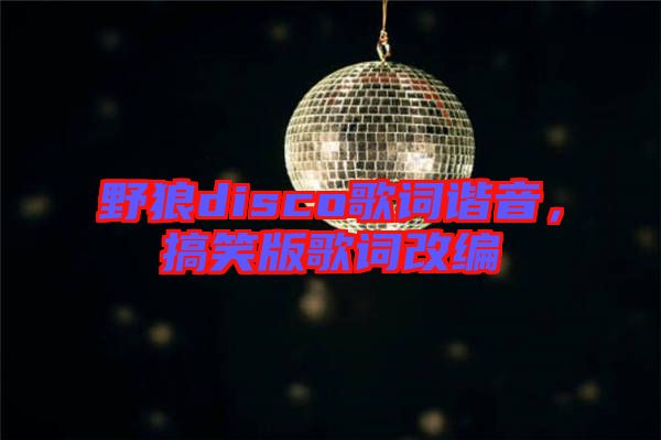 野狼disco歌詞諧音，搞笑版歌詞改編