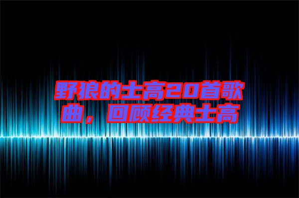 野狼的士高20首歌曲，回顧經(jīng)典士高