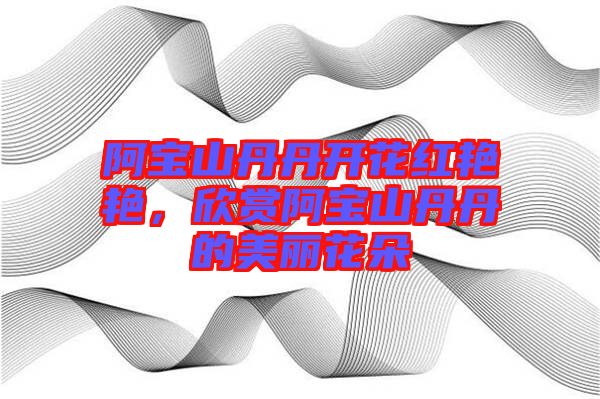 阿寶山丹丹開花紅艷艷，欣賞阿寶山丹丹的美麗花朵