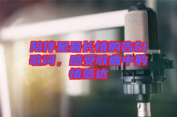陪伴是最長情的告白歌詞，感受歌曲中的情感達(dá)