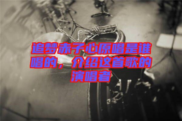 追夢赤子心原唱是誰唱的，介紹這首歌的演唱者