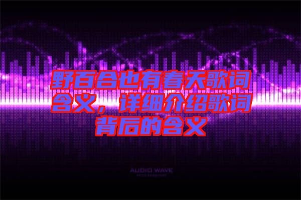 野百合也有春天歌詞含義，詳細(xì)介紹歌詞背后的含義