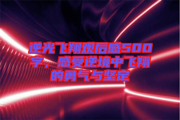逆光飛翔觀后感500字，感受逆境中飛翔的勇氣與堅(jiān)定