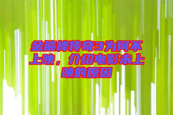 金箍棒傳奇3為何不上映，介紹電影未上映的原因