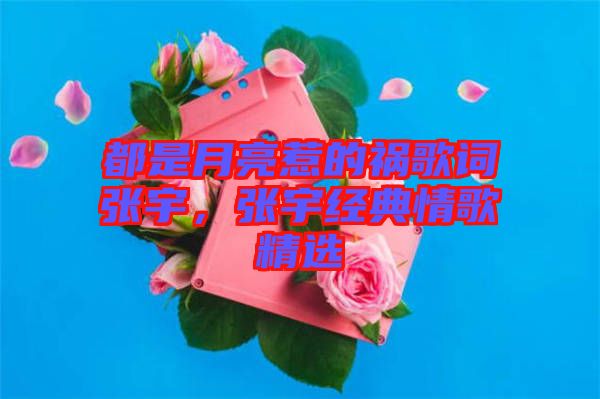 都是月亮惹的禍歌詞張宇，張宇經(jīng)典情歌精選